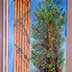 under stairs garden mural with trees, water, bridge, architectural pillar, tree close-up